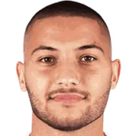F. Jović F. Jović