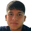 D. Pereira D. Pereira