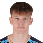 D. I. Maric D. I. Maric