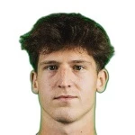 M. Šimůnek M. Šimůnek