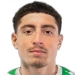 N. El Jamali N. El Jamali