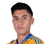 M. Farfan M. Farfan