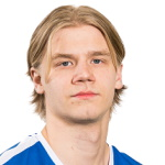 N. Leinonen N. Leinonen