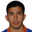L. Ibarra L. Ibarra