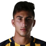 F. Rizzi F. Rizzi