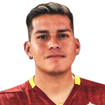 Y. Villegas Y. Villegas