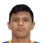 L. Ibarra L. Ibarra