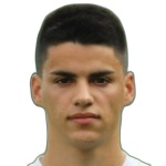 M. Jovičić M. Jovičić