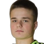 K. Yankovskiy K. Yankovskiy