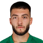 D. Mitkov D. Mitkov