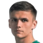 M. Plotnikov M. Plotnikov