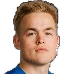 V. Vehkonen V. Vehkonen