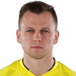 D. Cheryshev D. Cheryshev