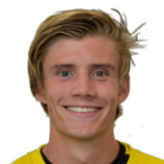 N. Fremstad N. Fremstad