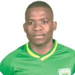 L. Mtshali L. Mtshali